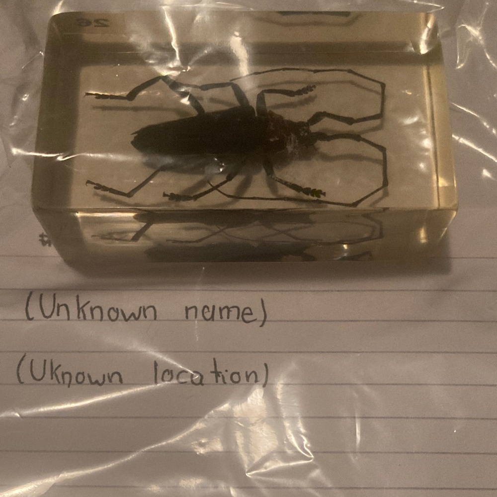 Bug 🐞 - unknown name and unknown location